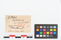 Etikett zu Bronzeortband (NHMW-PRAE-025696)